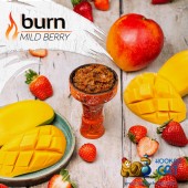 Табак Burn Mild Berry (Земляника Манго) 100г Акцизный Табак Burn Mild Berry (Земляника Манго) 100г Акцизный